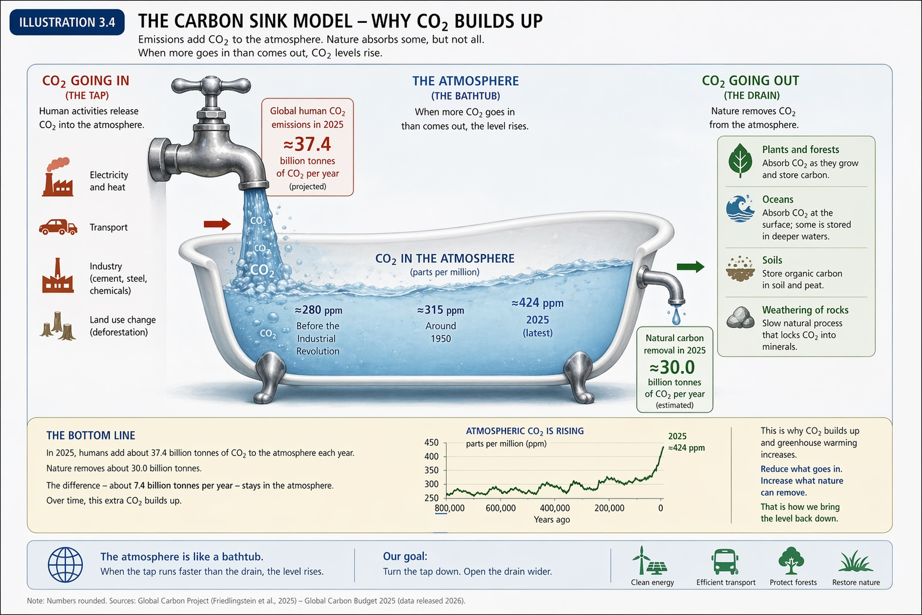 The carbon sink